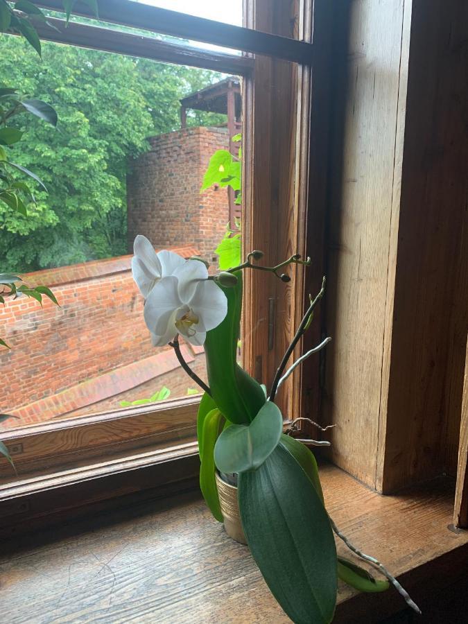 Hotelik Хелмно Екстер'єр фото